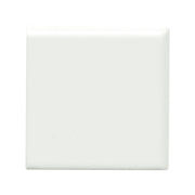 Emser Catch 3" x 3" Bullnose Corner Matte Ice