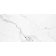 Emser Contessa 24" x 47" Matte Dama