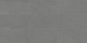 Daltile Calgary 12" x 24" Armor