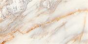Daltile Gamma 12" x 24" Honed Bella