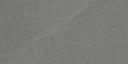 Daltile Calgary 12" x 24" Polished Armor