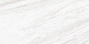 Daltile Perpetuo 12" x 24" Matte Timeless White