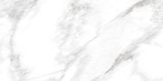 Daltile Perpetuo 12" x 24" Matte Brilliant White