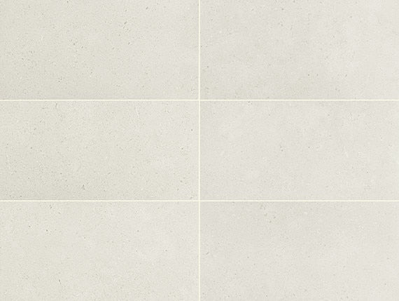 Daltile Outlander 12" x 24" Medio Moonlight