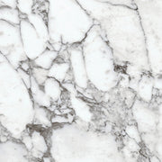 Daltile Marble Attache Lavish 24" x 24" Polished Pearl Arabesque