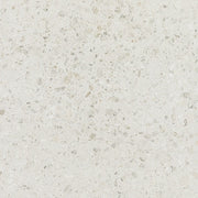 Daltile Outlander 24" x 24" Medio Sterling