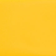 Daltile Colormatch 12" x 24" Matte Matte Daisy