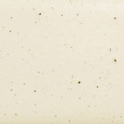 Daltile Natural Hues 12'' x 12'' Matte Freckles