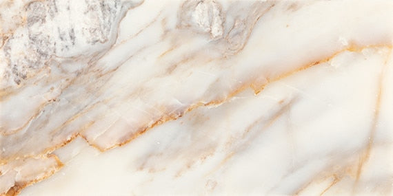 Daltile Gamma 24" x 48" Polished Bella