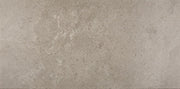 Daltile Advantage 12" x 24" Renoir Grey