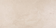 Mural Taupe