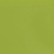 Daltile ColorMatch 2'' x 4" Brick Mosaic 12'' x 12'' Matte Matte Kiwi