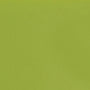 Matte Kiwi