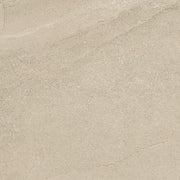 Daltile Calgary 24" x 48" Polished Fawn