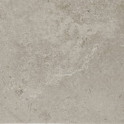Daltile Scripter 24" x 24" Mentor