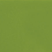 Daltile Colormatch 6" x 6" Matte Matte Fern