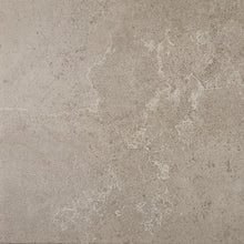 Renoir Grey
