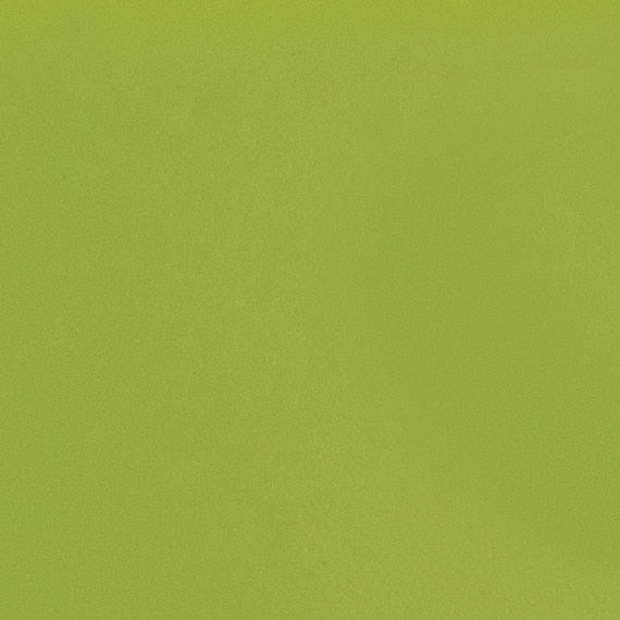 Daltile ColorMatch 2'' x 4" Straight Mosaic 12'' x 12'' Matte Matte Kiwi