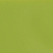 Daltile Colormatch 6" x 18" Matte Matte Kiwi