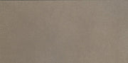 Daltile Volume 1.0 12" x 24" Matte Accent Brown
