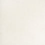 Sonic White