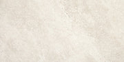 Daltile Choice 12" x 24" Fair