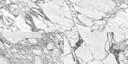 Daltile Marble Attache Lavish 24" x 48" Matte Pearl Arabesque