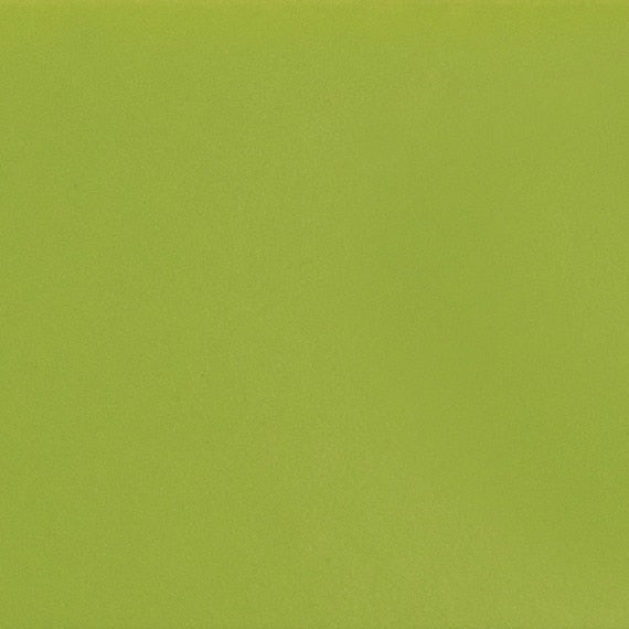 Daltile Colormatch 10" x 14" Matte Matte Kiwi