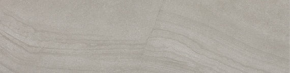 Daltile Wanderwise 6" x 24" Plank Roam