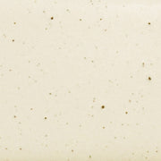 Daltile Natural Hues 6" x 12" Satin Freckles
