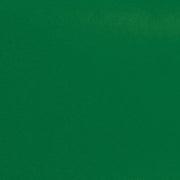 Daltile Natural Hues 12'' x 12'' Matte Spring Green