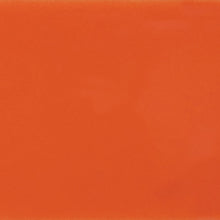 Orange Poppy