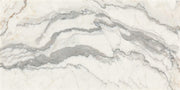 Daltile Gamma 12" x 24" Honed Illusive