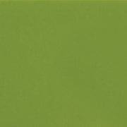 Daltile Natural Hues 8'' x 8'' Matte Fern