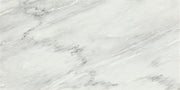 Daltile Gamma 24" x 48" Polished Mystic