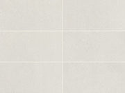 Daltile Outlander 12" x 24" Palazzo Sterling