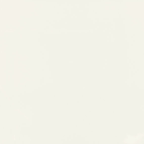 Daltile Pure 12" x 24" Matte Frost White
