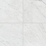 Daltile Marble Attache Lavish 24" x 24" Polished Diamond Carrara
