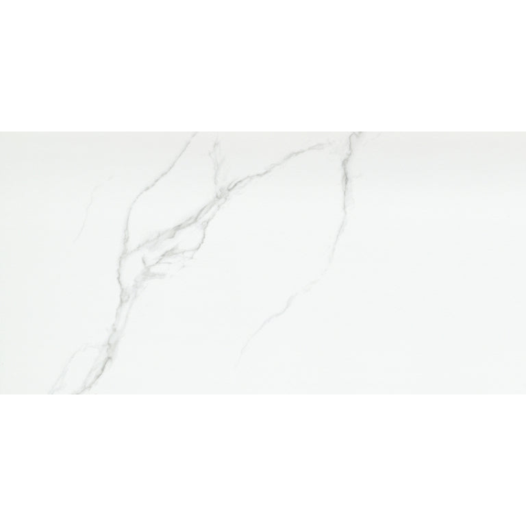 Emser Duchessa 12" x 24" POLISHED Silver