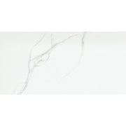 Emser Duchessa 12" x 24" Matte Silver