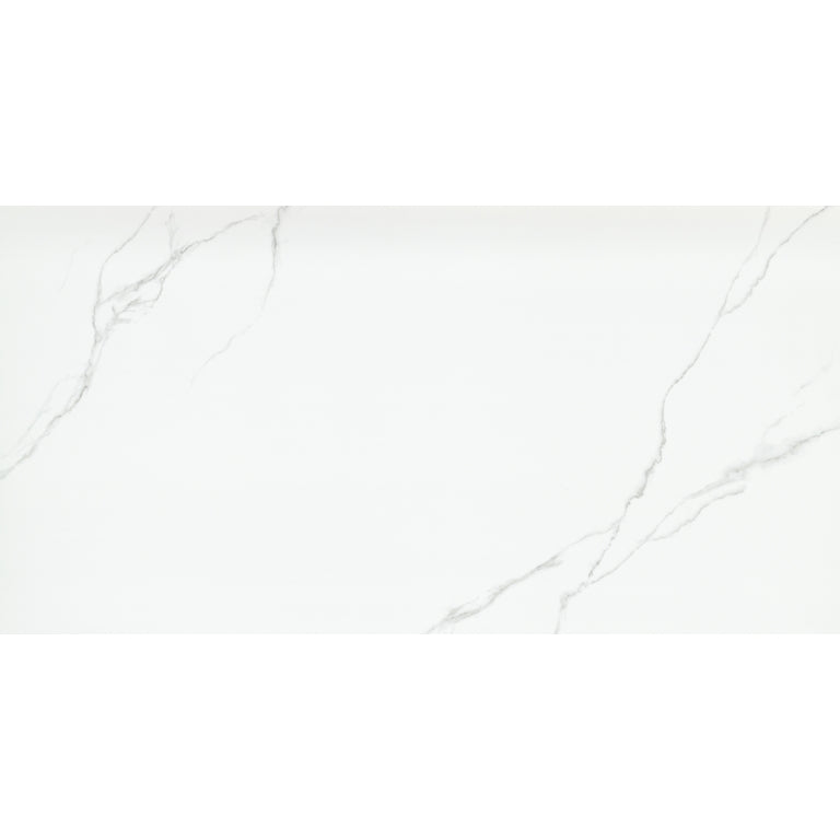 Emser Duchessa 24" x 47" POLISHED Silver