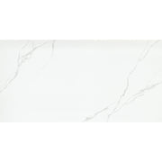 Emser Duchessa 24" x 47" POLISHED Silver