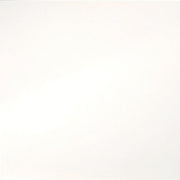 Emser Times Square 24"x24" Polished White