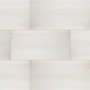 MS International Eden 24" x 48" Polished Dolomite