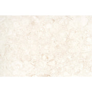 Emser Extero 16" x 24" Shell Cop