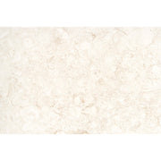 Emser Extero 16" x 24" Shell