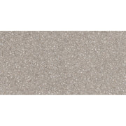 Emser Fragmento SM 12" x 24" Matte Sm Fawn