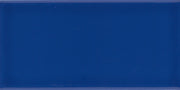 Emser Catch 3" x 6" Polished Royal