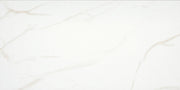 Emser Contessa 12" x 23" Polished Oro