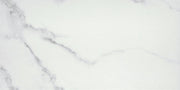 Emser Contessa 12" x 24" Matte Dama